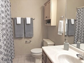 Williamsburg Village in Albany, NY - Building Photo - Building Photo