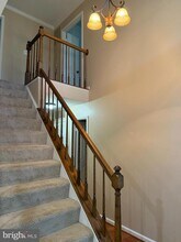 3869 Appaloosa Dr in Woodbridge, VA - Building Photo - Building Photo