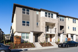 Twin Oaks in San Ramon, CA - Building Photo - Building Photo