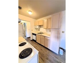 122 Spring St in River Falls, WI - Building Photo - Building Photo