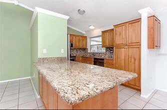 244 Myrtle Ct in Palm Harbor, FL - Building Photo - Building Photo