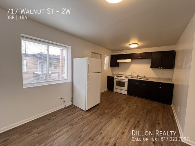 717 Walnut St in Waukegan, IL - Building Photo - Building Photo