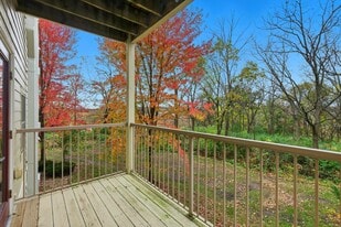 8206 Starr Grass Dr in Madison, WI - Building Photo