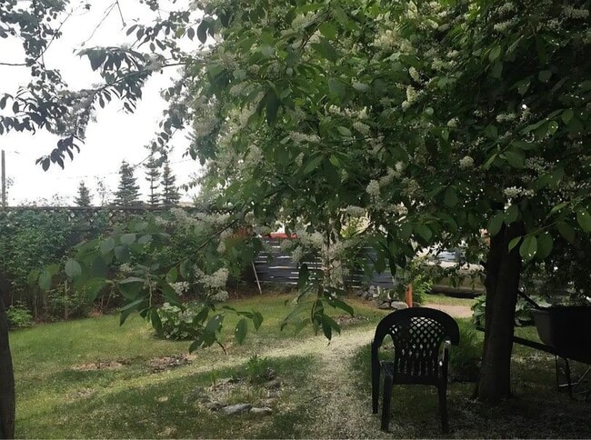 1426 Orca St, Unit 3 in Anchorage, AK - Foto de edificio - Building Photo