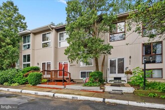 9871 Sweet Mint Dr in Vienna, VA - Building Photo - Building Photo