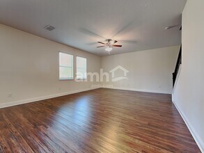 20443 Calla Lily Dr in Land O Lakes, FL - Foto de edificio - Building Photo