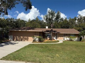525 Lakeview Dr in Oldsmar, FL - Building Photo