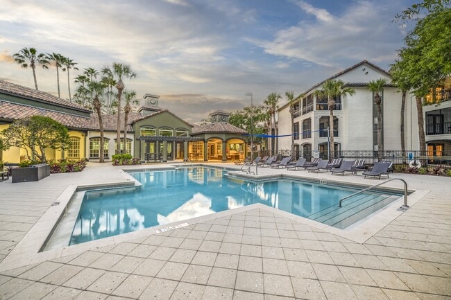 Mezzo of Tampa Palms