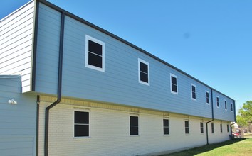 The Oasis Apartments in Denton, TX - Building Photo - Building Photo