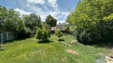 2537 Timber Ct in Fort Collins, CO - Building Photo - Building Photo