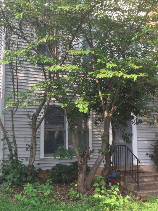 10398 Rapidan Ln in Manassas, VA - Building Photo