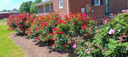 4008 Lebanon Rd in Efland, NC - Building Photo - Building Photo