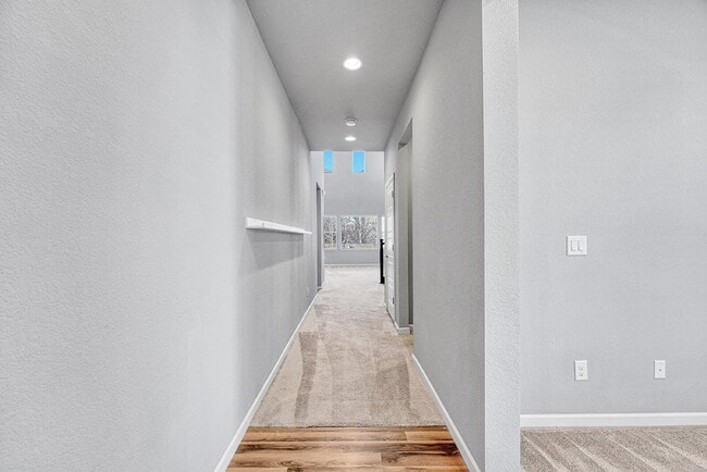 4064 Trail Stone Cir in Castle Rock, CO - Building Photo - Building Photo