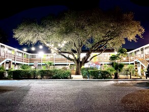 Oak Ridge Apartments in McAllen, TX - Building Photo - Building Photo