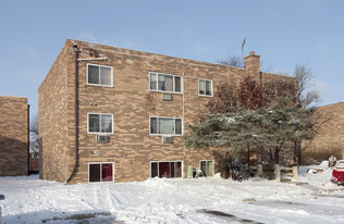 1145 Boxwood Dr in Mount Prospect, IL - Building Photo
