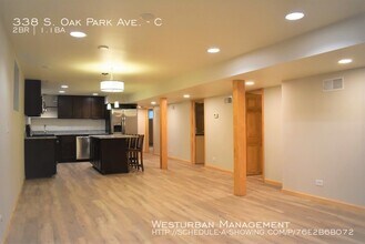 338 S Oak Park Ave in Oak Park, IL - Building Photo - Building Photo