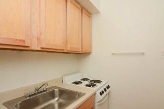 539 W Arlington Pl in Chicago, IL - Building Photo - Building Photo