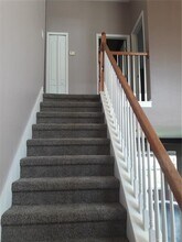 18126 Birdwater Dr in Tampa, FL - Building Photo - Building Photo