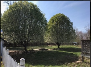 17458 Leesville Rd in Evington, VA - Building Photo - Building Photo
