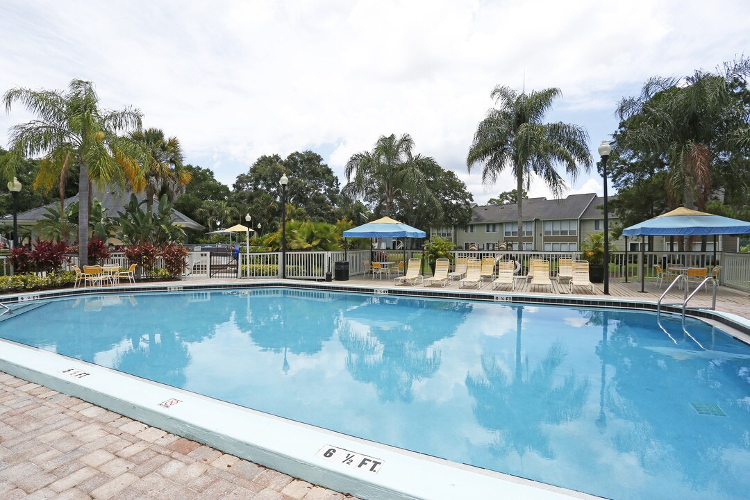 Town Place in Clearwater, FL - Building Photo