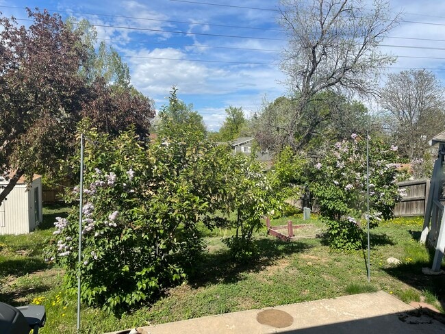 property at 10970 Kendall Way