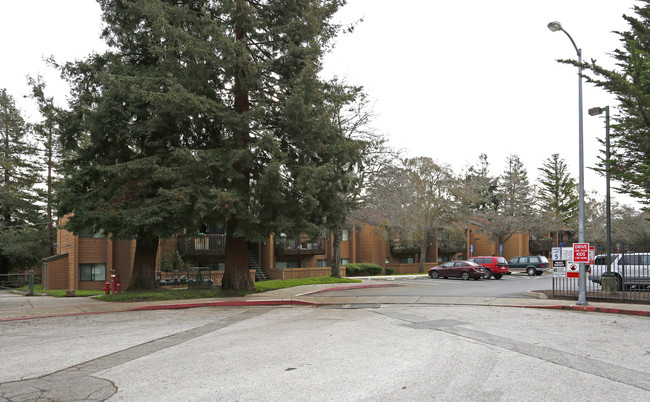 Elizabeth Oaks in Santa Cruz, CA - Foto de edificio - Building Photo