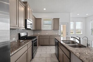 18005 Pomelo Ln in Pflugerville, TX - Building Photo