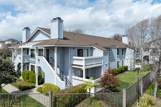 The Cove at Marina Bay in Richmond, CA - Building Photo - Building Photo