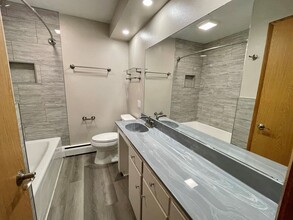 929 S Brooks St in Madison, WI - Building Photo - Building Photo
