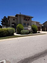 209 Mexican Olive Dr in Georgetown, TX - Building Photo