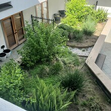 4415 Saugus Ave, Unit #407 in Sherman Oaks, CA - Building Photo - Building Photo