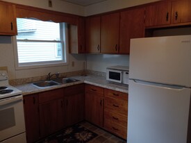 33 Lincoln Ave in Cortland, NY - Building Photo