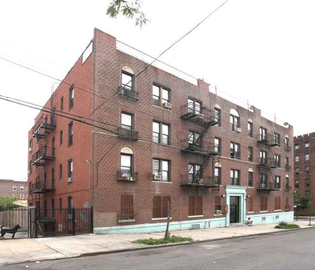 17 Van Siclen Ave in Brooklyn, NY - Building Photo - Building Photo