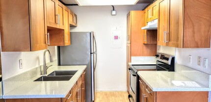 509 Mananai Pl in Honolulu, HI - Foto de edificio - Building Photo