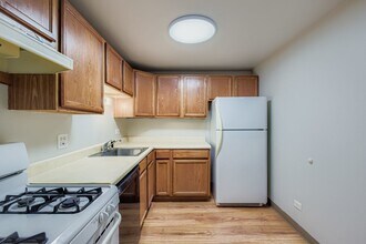 1463 Mercury Dr in Schaumburg, IL - Building Photo - Building Photo