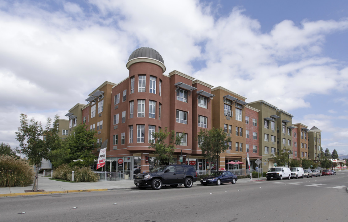 Downtown River in Petaluma, CA - Building Photo