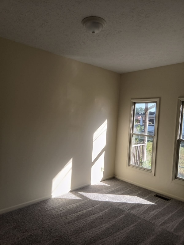 913 S Limestone St in Springfield, OH - Building Photo - Building Photo