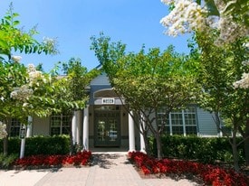 Groves at Piney Orchard