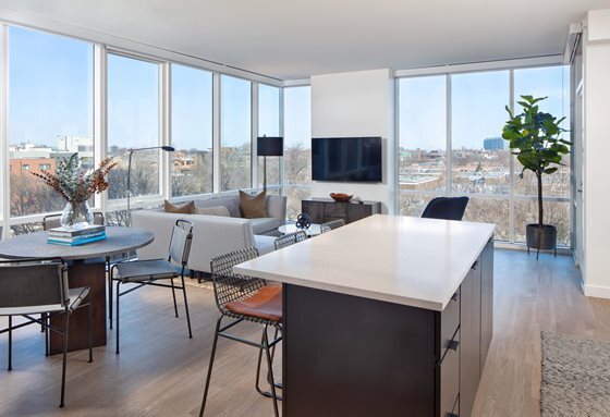1600 N Vine St in Chicago, IL - Building Photo