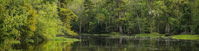 Apartamentos Alquiler en Terrytown, LA