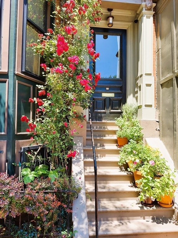 property at 133 Appleton St