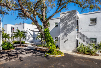 Oasis Palms Apartments in St. Petersburg, FL - Building Photo - Building Photo