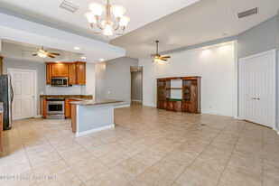 3555 Plume Way in Palm Bay, FL - Foto de edificio - Building Photo