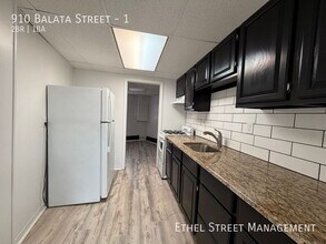 910 Balata St in Easton, PA - Building Photo - Building Photo