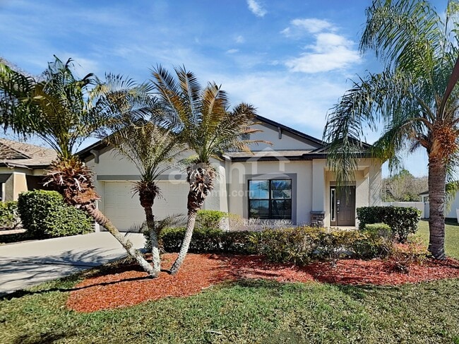 property at 11640 Palmetto Pine St