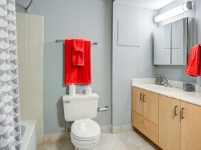 710 N Dearborn St, Unit 2302 in Chicago, IL - Building Photo - Building Photo