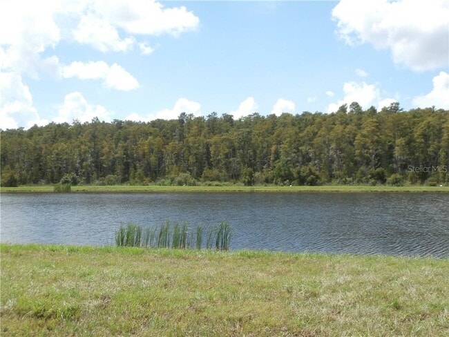 8750 Dufferin Ln in Orlando, FL - Building Photo - Building Photo