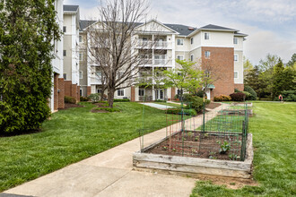 River Run Senior Apartments in Woodbridge, VA - Building Photo - Building Photo