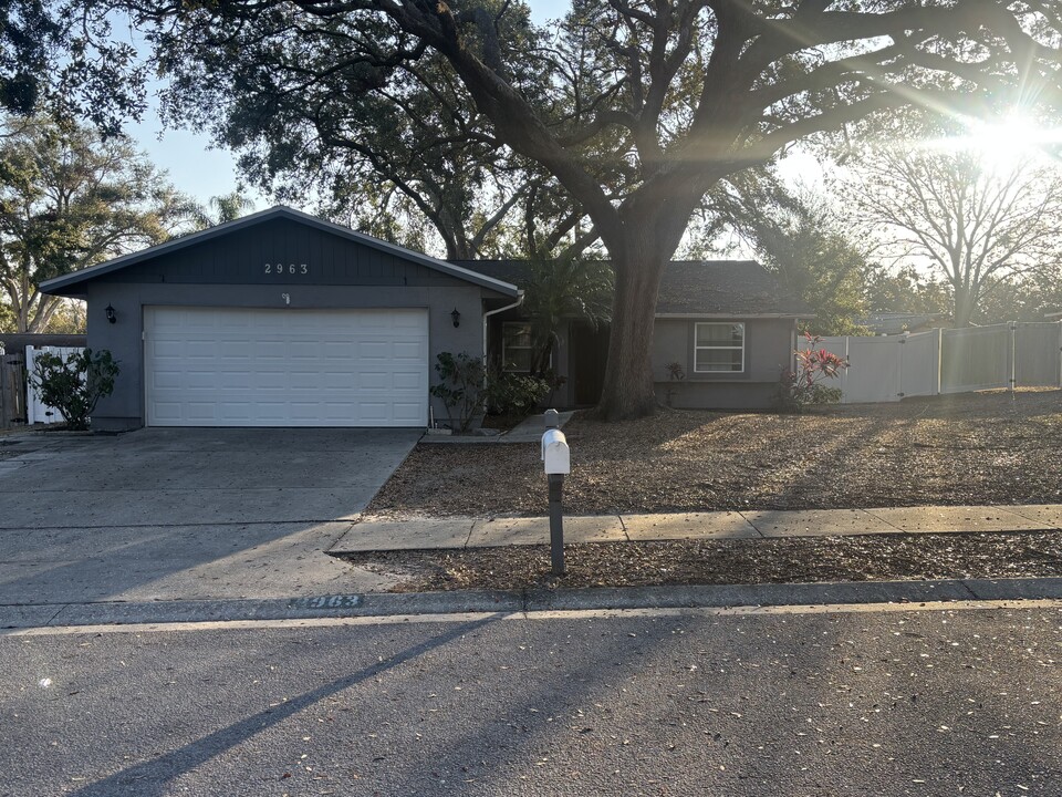 2963 Sugar Bear Trail in Palm Harbor, FL - Building Photo