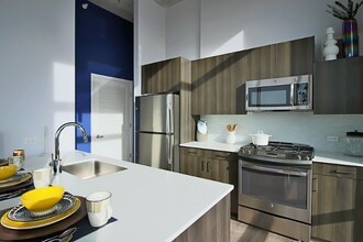 720 N Morgan St in Chicago, IL - Building Photo - Building Photo